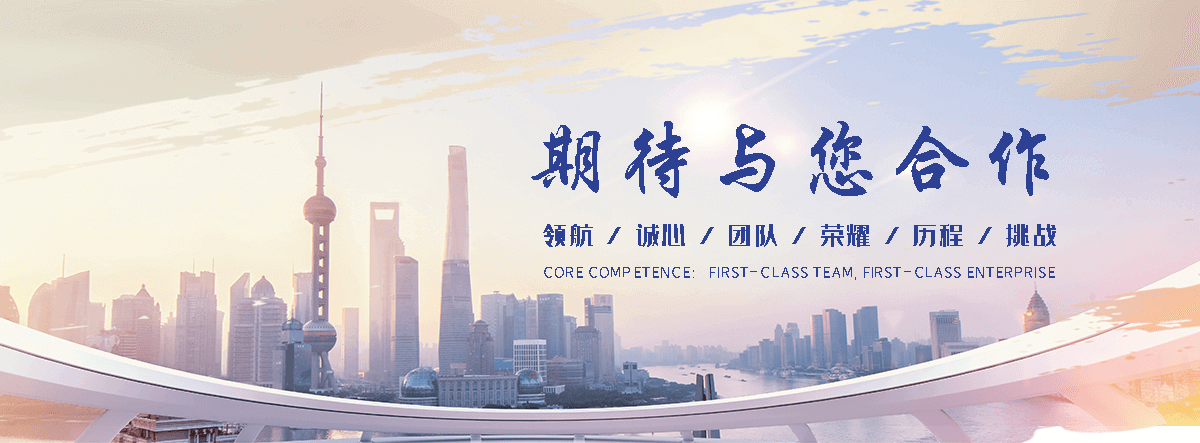 洛宁海狮租赁公司